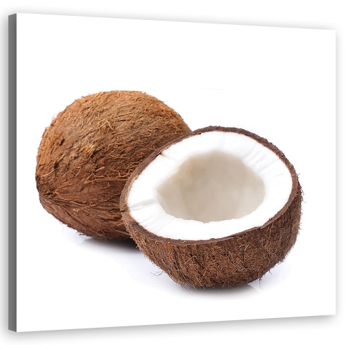 Obraz na plátně, Kokosové ovoce