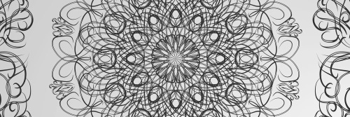 Obraz abstraktná kvetinová Mandala v čiernobielom prevedení