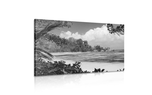 Obraz nádherná pláž na ostrove La Digue v čiernobielom prevedení