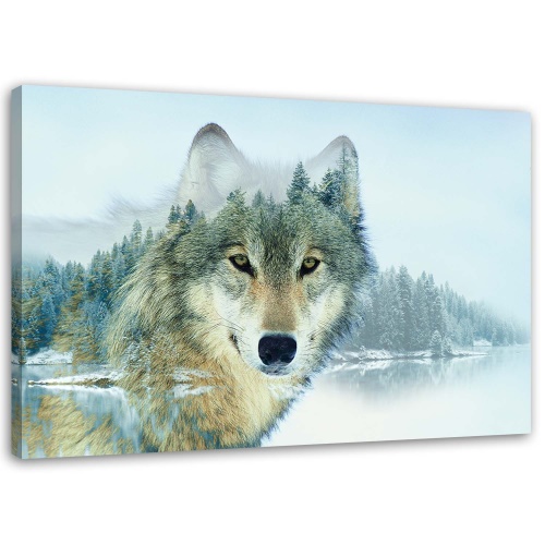 Obraz na plátně Zvířecí příroda Horský vlk