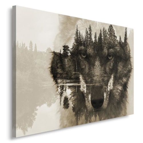 Obraz na plátně, Vlk Lesní zvířata Příroda