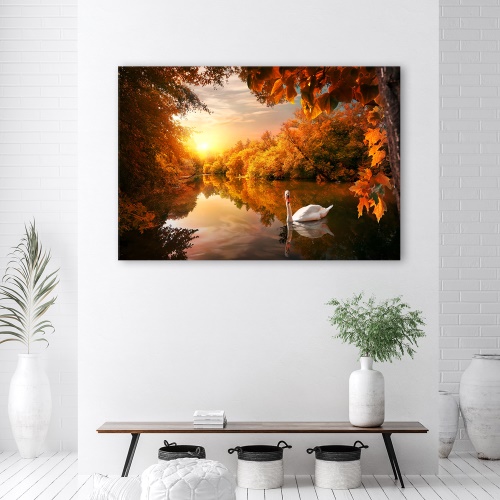 Obraz na plátně, Labuť na podzim rybníka