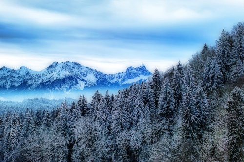 Fototapeta zamrznuté hory