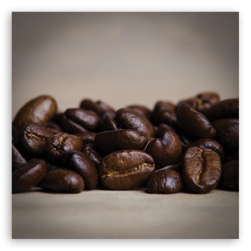 Obraz na plátně, Kávová zrna