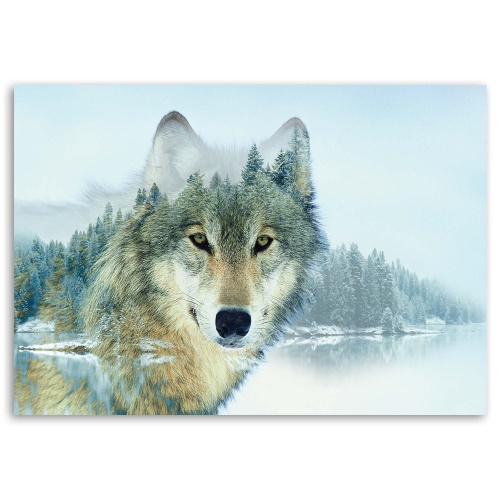 Obraz na plátně Zvířecí příroda Horský vlk