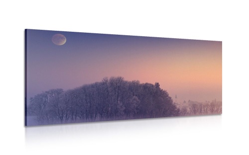 Obraz spln mesiaca nad dedinou