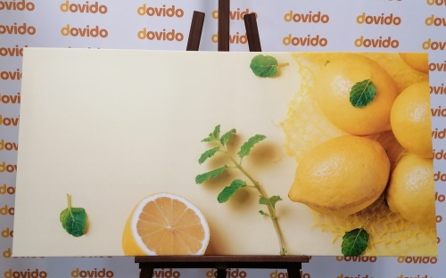 Obraz citróny s mätou