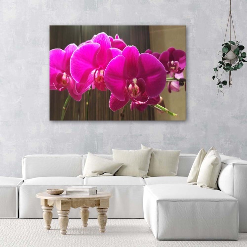 Obraz na plátně Zenová orchidej Růžový květ