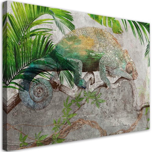 Obraz na plátně, Chameleon na větvi džungle