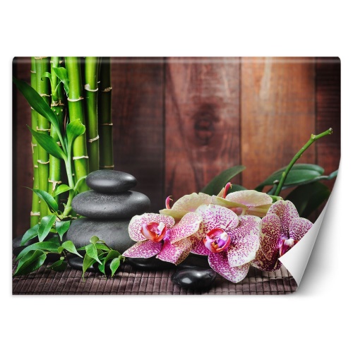 Fototapeta, Orchidej s bambusem