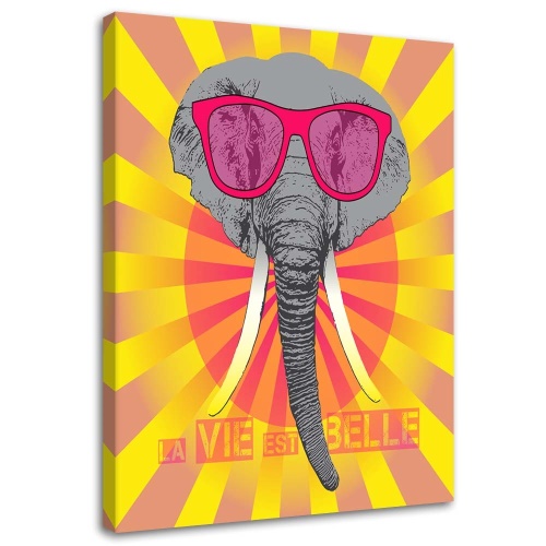 Obraz na plátně Barevný slon s brýlemi
