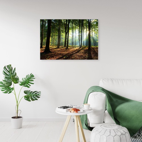 Obraz na plátně Pohled na zelený les Příroda