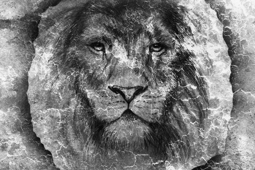 Tapeta tvár leva v čiernobielom prevedení