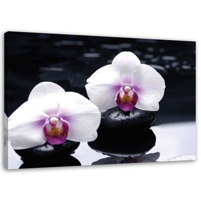 Obraz na plátně Orchidej Zen Stones Purple - 90x60 cm