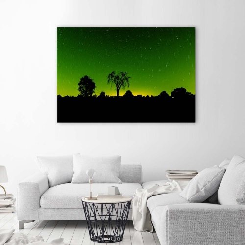 Obraz na plátně Aurora Borealis Green Forest