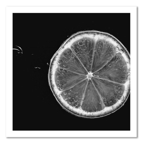Obraz na plátně Černý a bílý citron