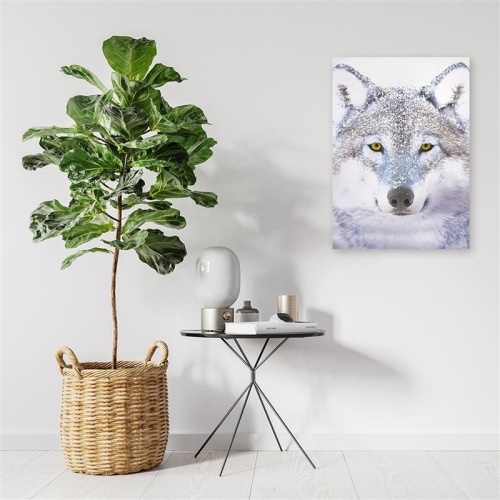 Obraz na plátně Vlk šedý Příroda Zvířata