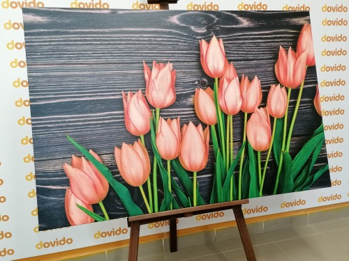 Obraz očarujúce oranžové tulipány na drevenom podklade