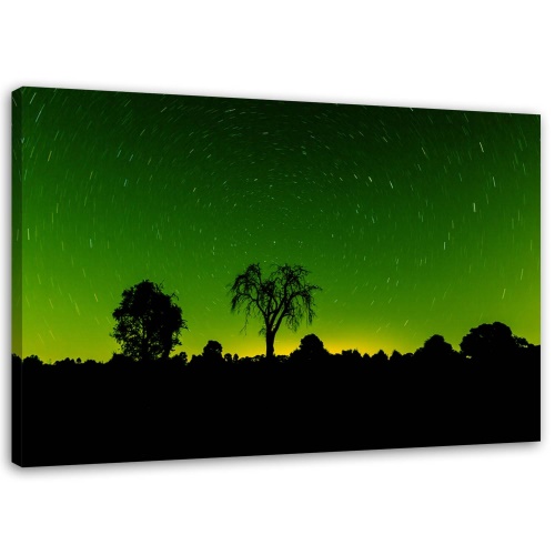 Obraz na plátně Aurora Borealis Green Forest