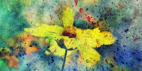 Obraz žltý kvet s vintage nádychom