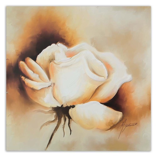 Obraz na plátně Růže Květina Bílá příroda