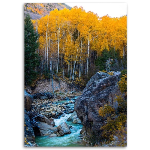 Obraz na plátně Potok Les Příroda Žlutá
