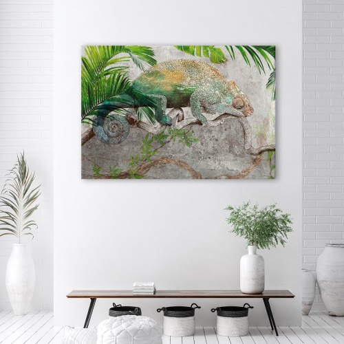 Obraz na plátně, Chameleon na větvi džungle