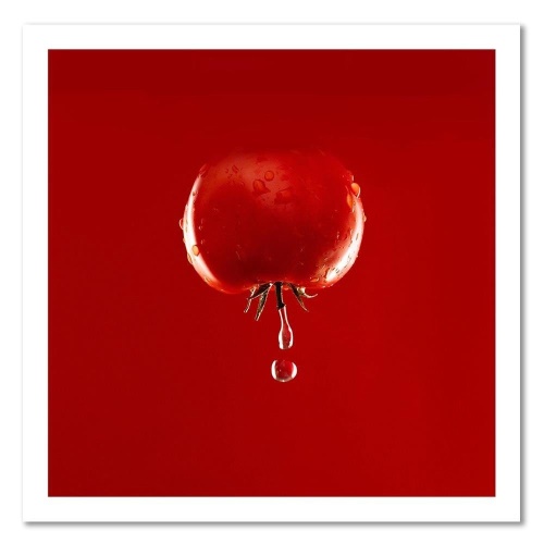 Obraz na plátně Zeleninová voda z červených rajčat