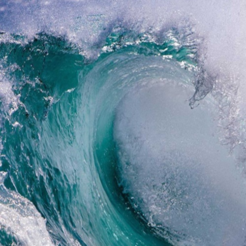 Ozdobný paraván 5dílné vlny Mořská příroda