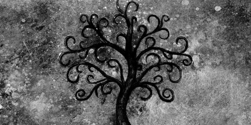 Obraz čiernobiely strom života