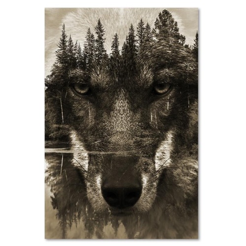 Obraz na plátně Vlk Lesní zvířata Příroda
