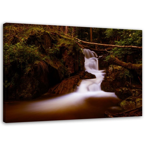 Obraz na plátně Horský potok Forest