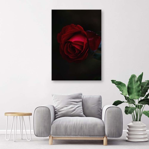 Obraz na plátně Červená růže Květina Příroda