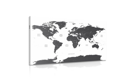 Obraz mapa sveta s jednotlivými štátmi v sivej farbe