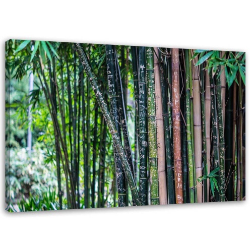 Obraz na plátně Bambusová lesní zelená