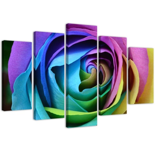 Obraz na plátně pětidílný Růže Květina Barevné