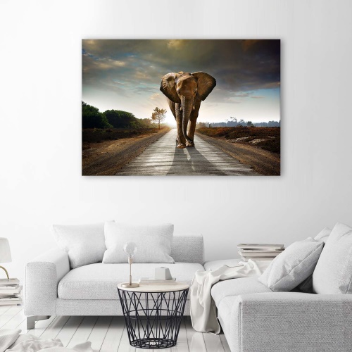 Obraz na plátně Slon na ulici Afrika Příroda