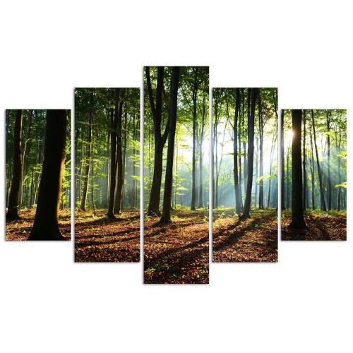Obraz na plátně pětidílný Zelená příroda lesa