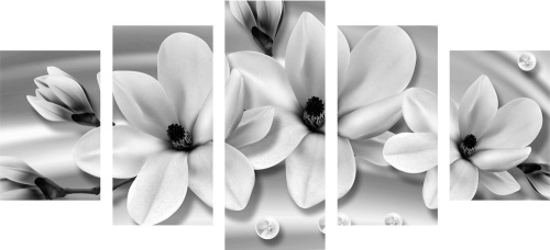 5-dielny obraz luxusná magnólia s perlami v čiernobielom prevedení