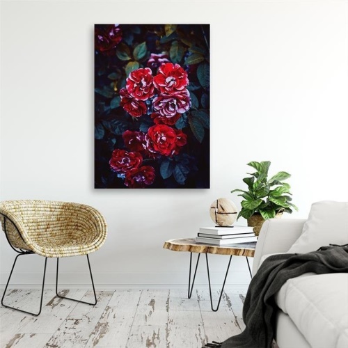 Obraz na plátně Květiny Červená příroda