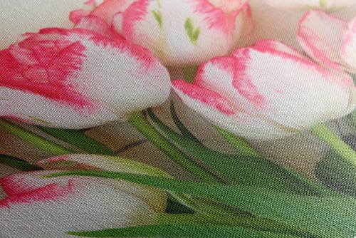 Obraz tulipány v jarnom nádychu