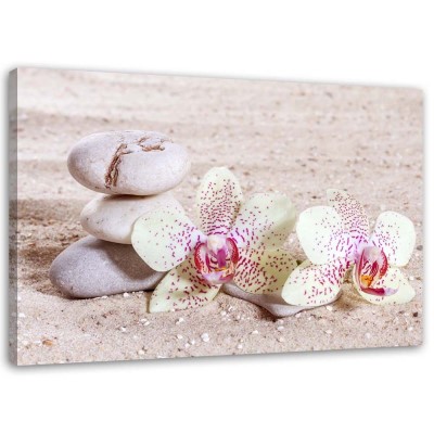 Obraz na plátně Orchideje Zen Spa Stones - 100x70 cm