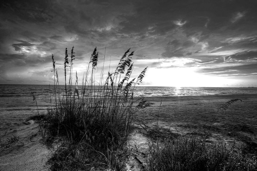 Samolepiaca fototapeta západ slnka na pláži v čiernobielom