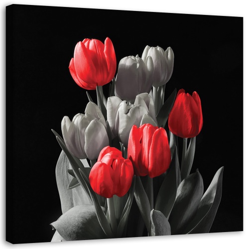 Obraz na plátně Tulipánový květ Červená šedá
