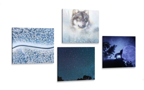 Set obrazov samotársky vlk