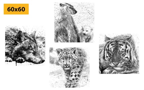 Set obrazov zvieratá v  čiernobielom akvarelovom prevedení