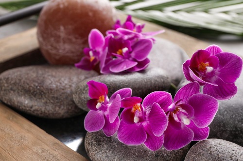 Samolepiaca fototapeta  nádherná orchidea a Zen kamene