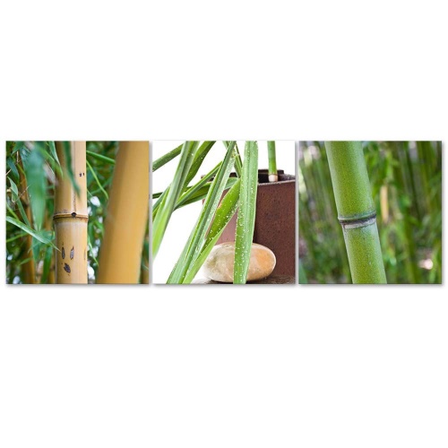 Obraz na plátně třídílný Bamboo Zen Spa