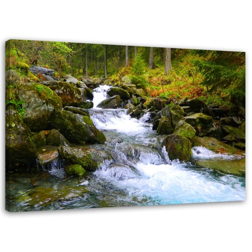 Obraz na plátně Vodopád Horský les