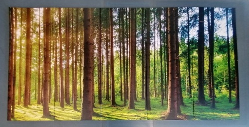 5-dielny obraz slnečné ráno v lese